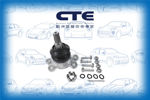 Ball Joint (CBJ08003A)