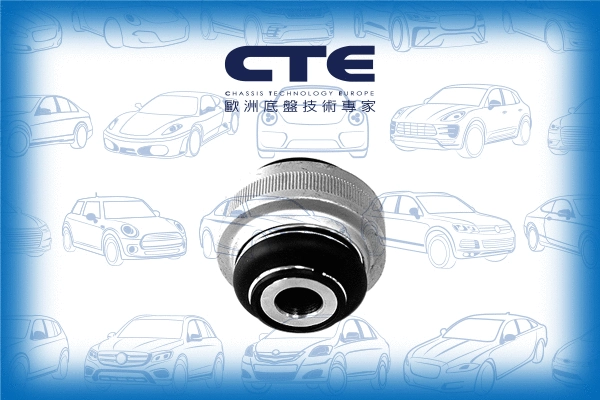 Mounting, control/trailing arm (CBH16014)