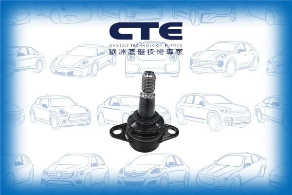 Ball Joint (CBJ09012)