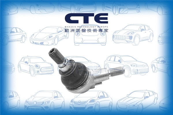 Ball Joint (CBJ21009)