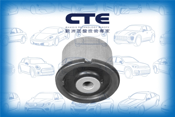 Mounting, control/trailing arm (CBH19033)