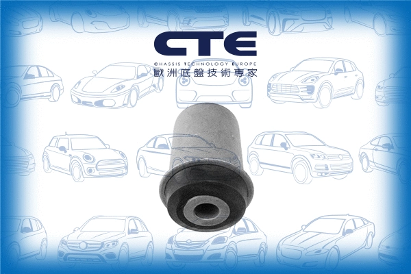 Mounting, control/trailing arm (CBH21008)