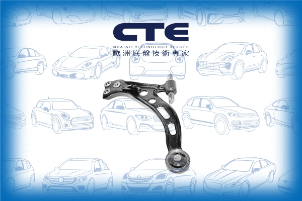 Control/Trailing Arm, wheel suspension (CS-229L)
