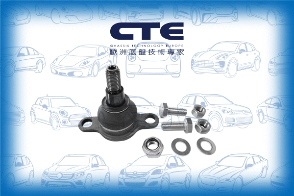Ball Joint (CBJ20009A)