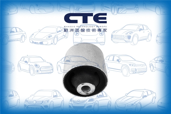Mounting, control/trailing arm (CBH19017)