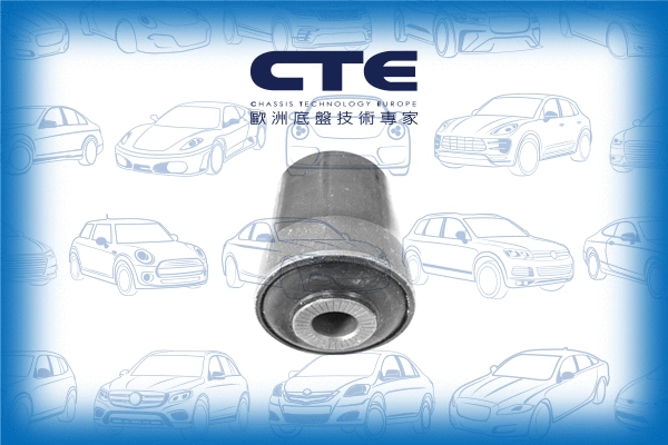 Mounting, control/trailing arm (CBH31011)