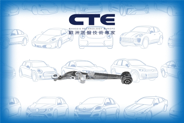 Control/Trailing Arm, wheel suspension (CS-248L)