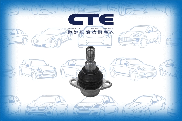 Ball Joint (CBJ31005)