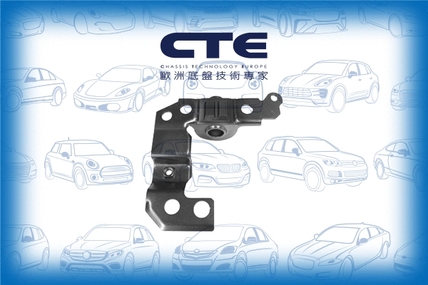 Mounting, control/trailing arm (CBH22017L)