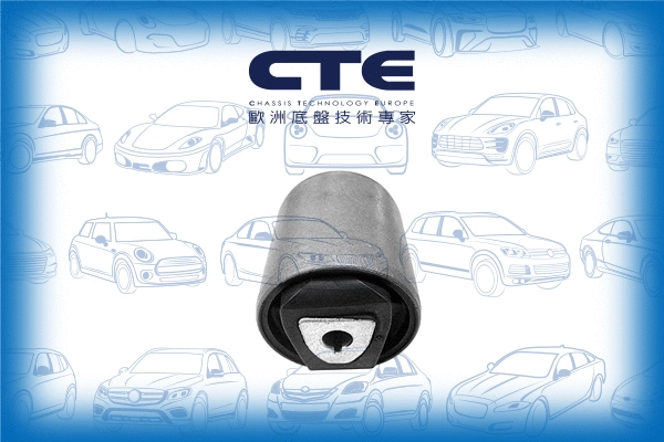 Mounting, control/trailing arm (CBH09027)