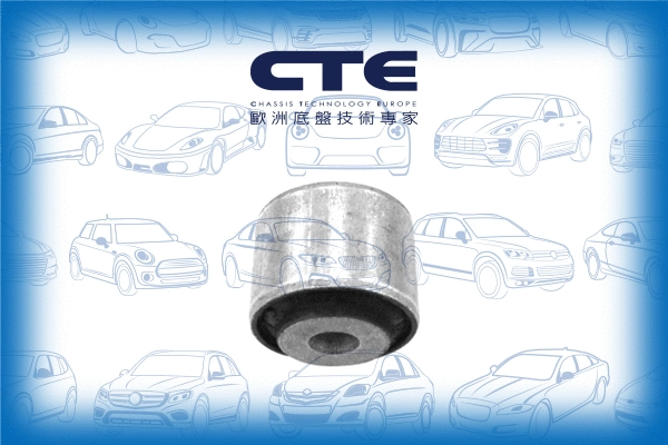 Mounting, control/trailing arm (CBH21028)