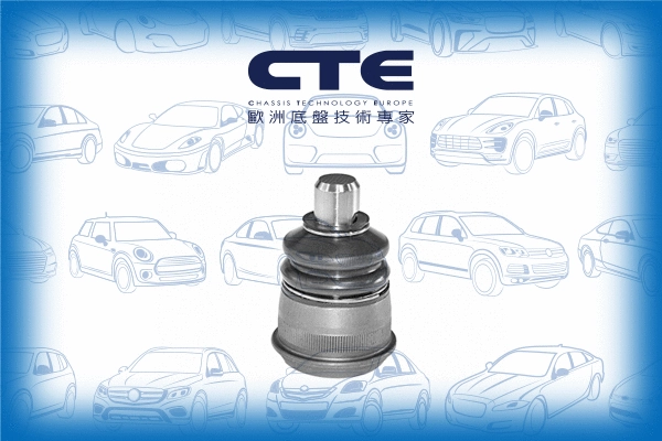 Ball Joint (CBJ21001)