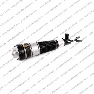 Air Suspension Strut (SSAS02743AR)