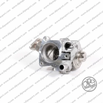 EGR Valve (EGR066DPSN)