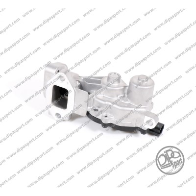 EGR Valve (EGR226DPSN)