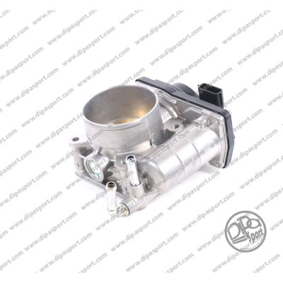 Throttle Body (FLAI371DPSN)