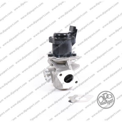 EGR Valve (EGR017DPSN)