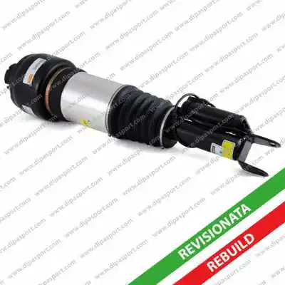 Air Suspension Strut (SSAS02301R)