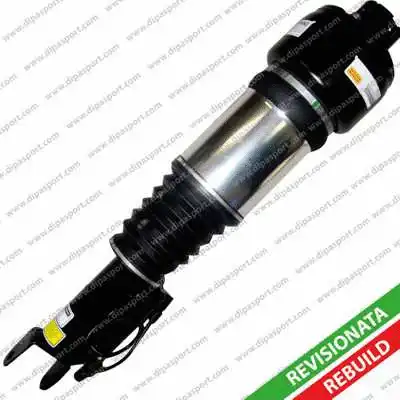 Air Suspension Strut (SSAS02246AR)