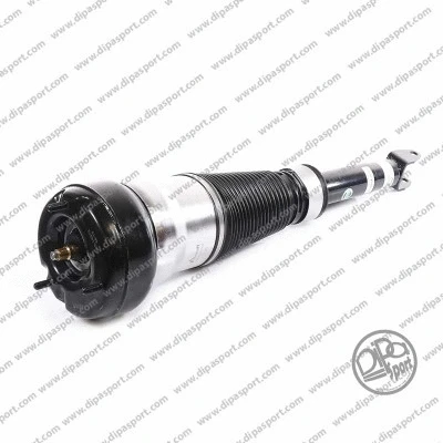 Air Suspension Strut (SSAS03162N)
