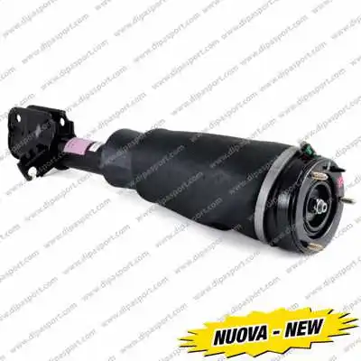 Air Suspension Strut (SSAS02498N)