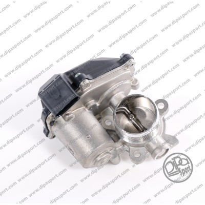EGR Valve (FLAI419PRBN)