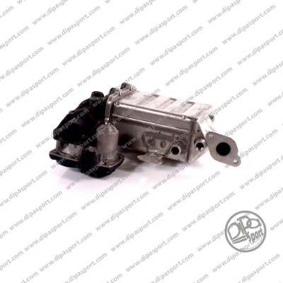 EGR Module (EGR313CN)