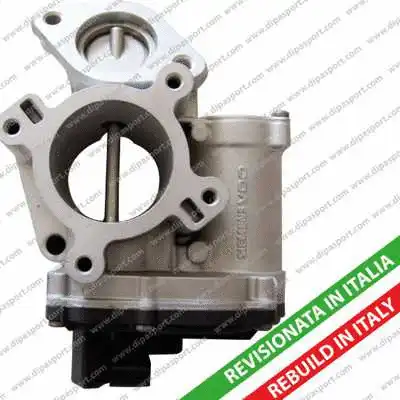 EGR Valve (EGR123R)