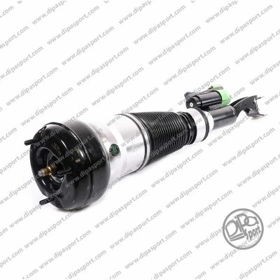Air Suspension Strut (SSAS03161N)
