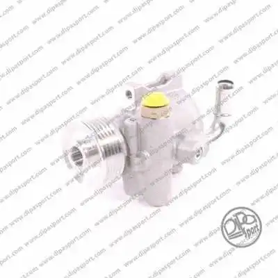 Hydraulic Pump, steering (PSO032DPSN)
