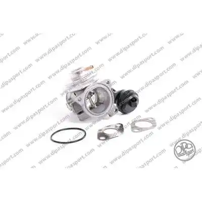 EGR Valve (EGR043WHLN)