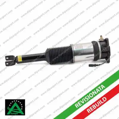 Shock Absorber (SSAS02966R)