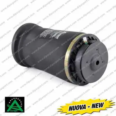Air Spring, suspension (SSA02596N)
