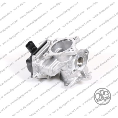 EGR Valve (EGR162PRBN)