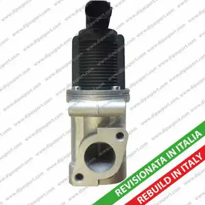 EGR Valve (EGR002BR)