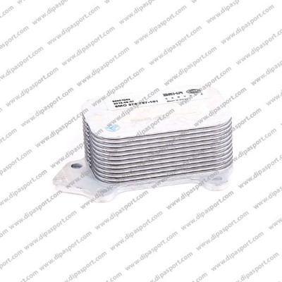 Oil Cooler, engine oil (RAO142BHRN)