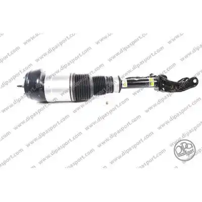 Air Suspension Strut (SSAS03060R)
