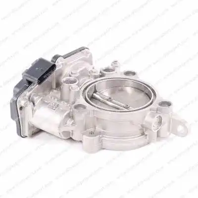 Throttle Body (FLAI194R)