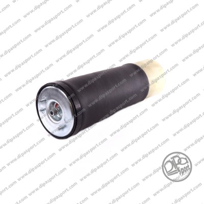 Air Spring, suspension (SSA02504VBRN)