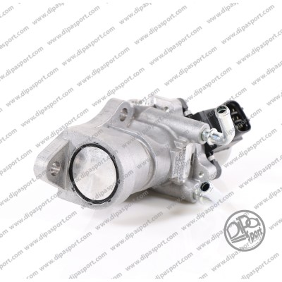 EGR Valve (EGR102DLPN)