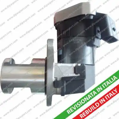 EGR Valve (EGR094R)
