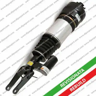 Air Suspension Strut (SSAS02294R)