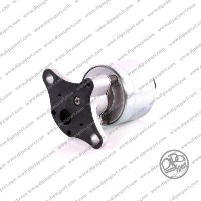 EGR Valve (EGR547DLPN)