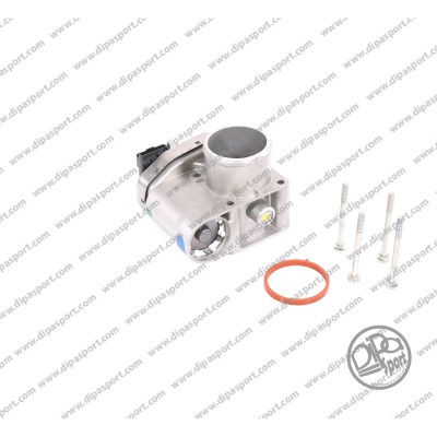 Throttle Body (FLAI002DPSN)