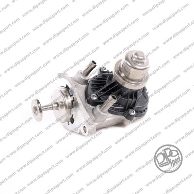 EGR Valve (EGR263DPSN)