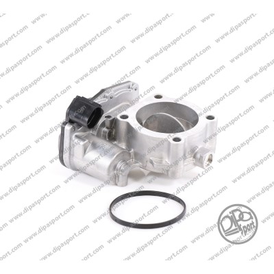 Throttle Body (FLAI317PRBN)