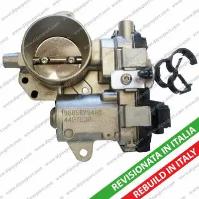 Throttle Body (FLAI065R)