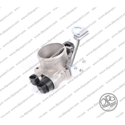 Throttle Body (FLAI007PRBN)