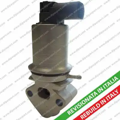 EGR Valve (EGR028R)