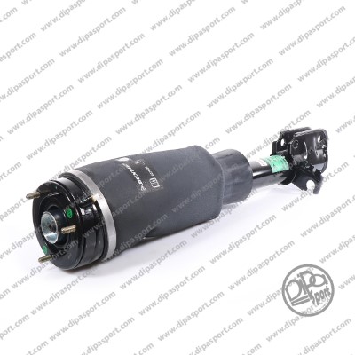 Air Suspension Strut (SSAS02795DNLN)